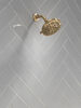 Fixed 5-Setting Showerhead