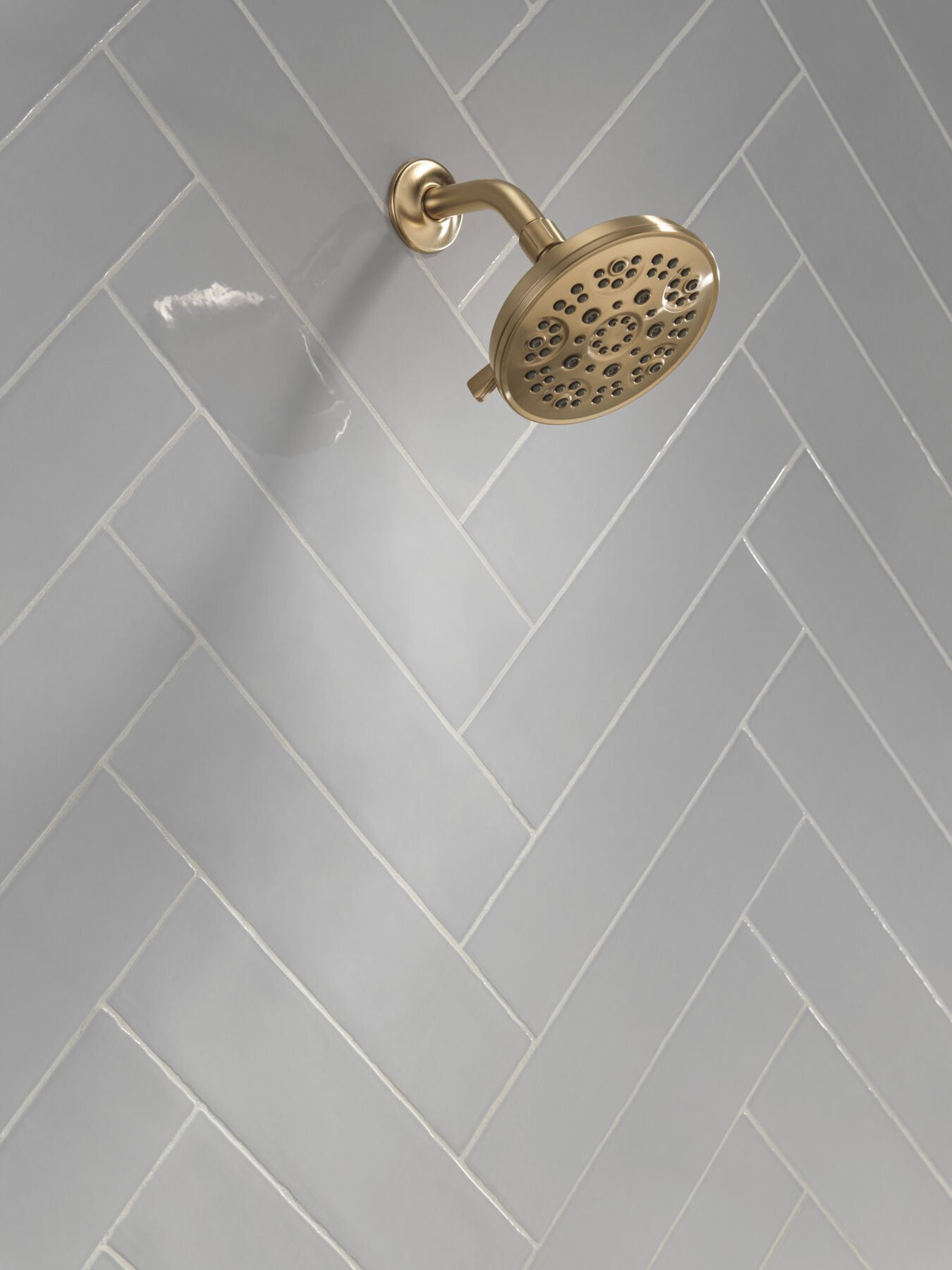 Fixed 5-Setting Showerhead