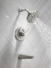 14S Tub Shower Trim with H2OKinetic (Recertified)