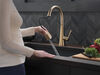 Pull-Down Kitchen Faucet (Recertified)