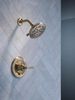 Monitor&reg; 14 Series Shower Only