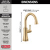 Transitional Beverage Faucet
