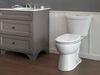Elongated Dual-Flush Toilet