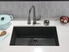 Glass Rinser (Recertified)