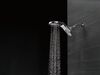 HydroRain 5 Setting Showerhead (Recertified)
