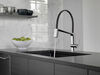 Pull-Down Kitchen Faucet w/Exp. Hose (Recertified)