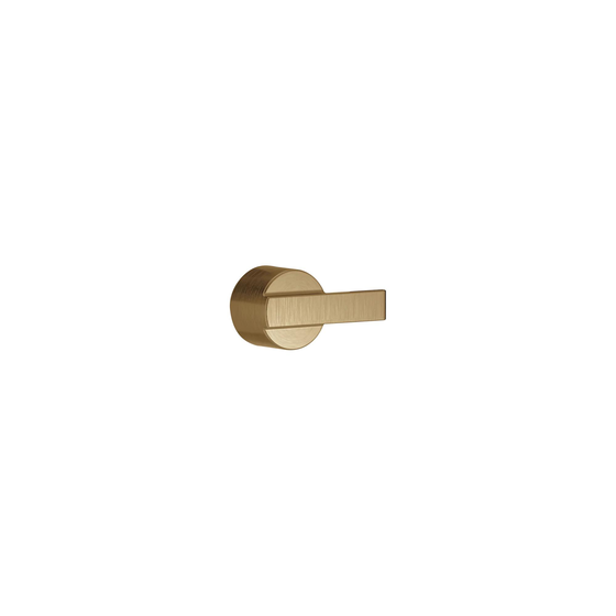 Metal Lever Handle Kit - 14 Series in Champagne Bronze RP79166CZ ...