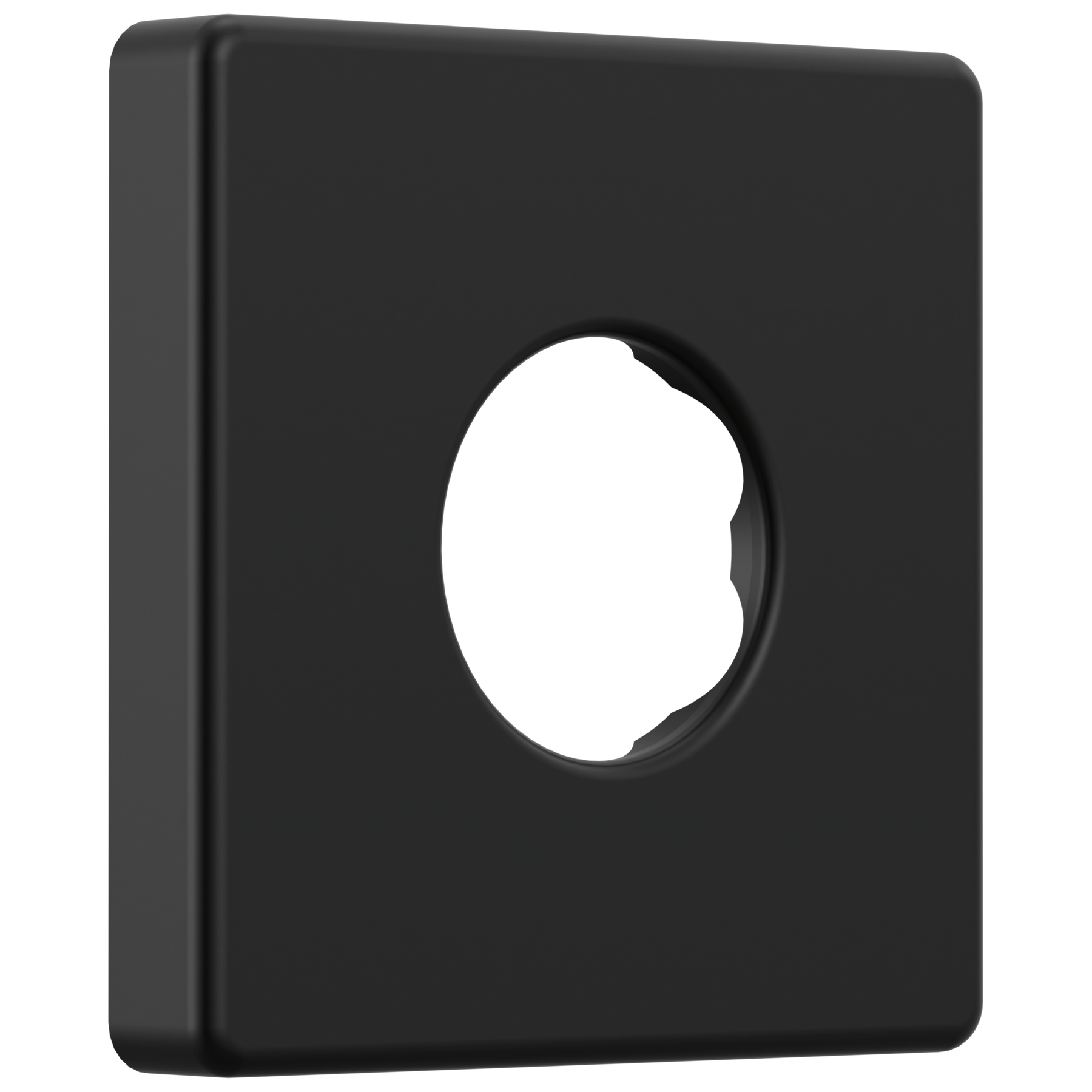 Shower Flange