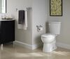 Elongated Toilet