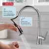 Single Handle Pull-Down Kitchen Faucet with Soap Dispenser and ShieldSpray&reg; Technology