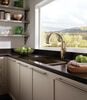 Single Handle Pull-Down Kitchen Faucet with Touch<sub>2</sub>O&reg; and ShieldSpray&reg; Technologies
