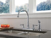 Two Handle Kitchen Faucet with Spray
