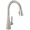 Pull-Down Kitchen Faucet (Recertified)