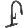 Single Handle Pull-Down Kitchen Faucet (Recertified)