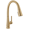 Single Handle Pull-Down Kitchen Faucet with ShieldSpray&reg; Technology