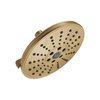 H<sub>2</sub>Okinetic&reg; 3-Setting Raincan Shower Head (Recertified)