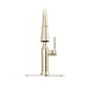 Single Handle Pull-Down Kitchen Faucet (Recertified)