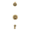 Tub/Shower Trim 14S (Recertified)