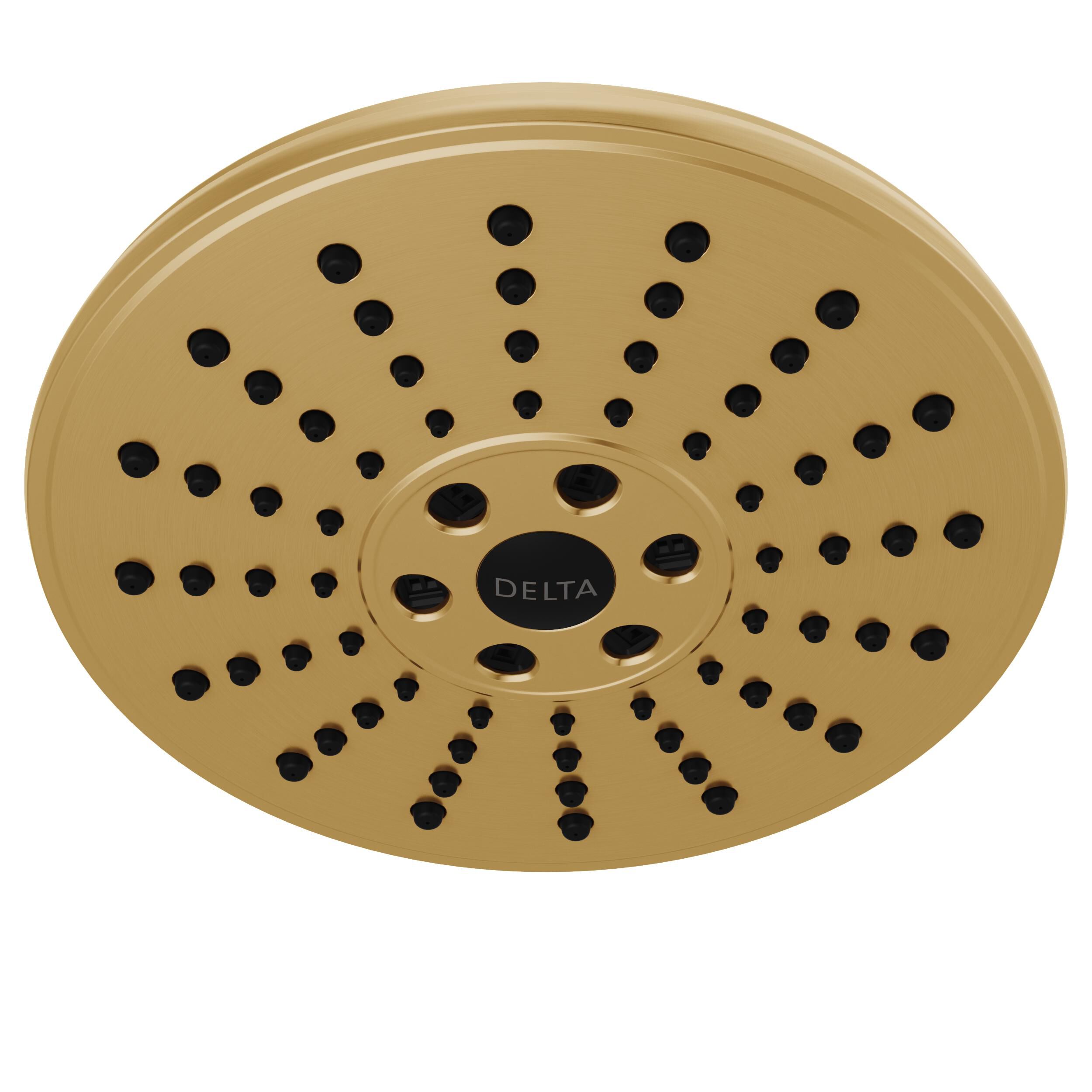 H2Okinetic® 3-Setting Raincan Shower Head in Lumicoat® Champagne