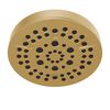 5-Setting Showerhead