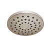 PivotPro&trade; Raincan Shower Head