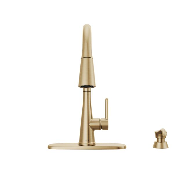 Single Handle Pull-Down Kitchen Faucet with Soap Dispenser and ShieldSpray&reg; Technology