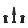 Two Handle Widespread Pull Down Bathroom Faucet