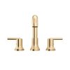 Roman Tub Trim (Recertified)
