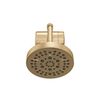Standard Shower Filter with Shower Head Bundle