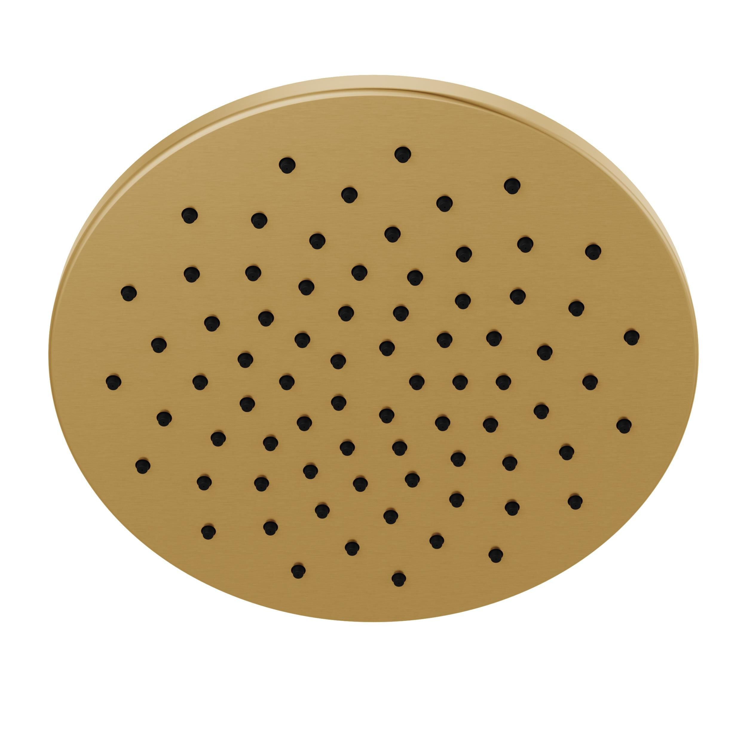 Single-Setting Metal Raincan Shower Head in Lumicoat® Champagne