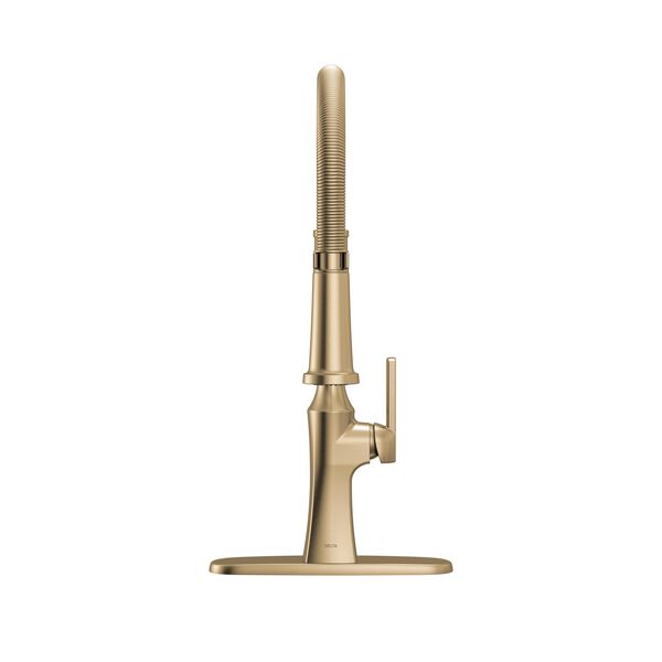 Single Handle Pull-Down Spring Kitchen Faucet