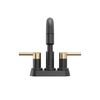 Two Handle Centerset Pull-Down Bathroom Faucet