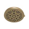 Fixed 5-Setting Showerhead