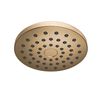 PivotPro&trade; Raincan Shower Head