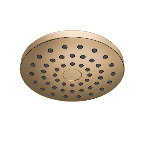PivotPro&trade; Raincan Shower Head