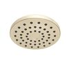 PivotPro&trade; Raincan Shower Head