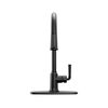 Single Handle Kitchen Pull-Down Faucet