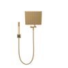 10 inch Raincan Shower Head & Hand Held Combo with Adjustable Extension Arm
