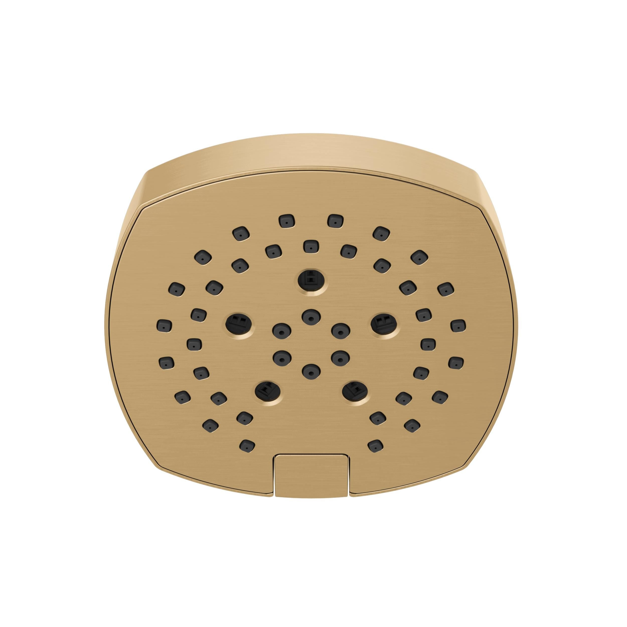 外国銭 H2Okinetic® 5-Setting Shower Head in Lumicoat® Champagne Bronze