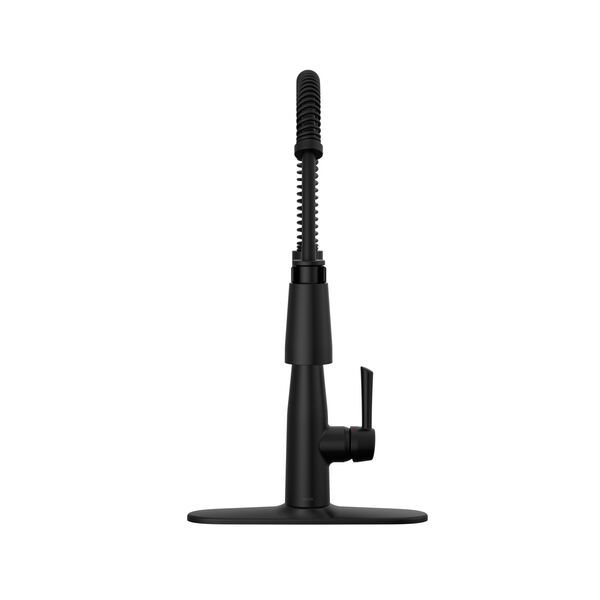 Single-Handle Pull-Down Spring Kitchen Faucet (Recertified)
