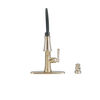 Single Handle Pull-Down Kitchen Faucet with ShieldSpray