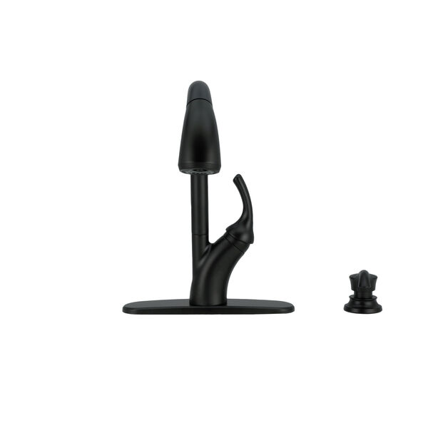 Single Handle Pull-Out Kitchen Faucet with Soap Dispenser and ShieldSpray &reg; Technology