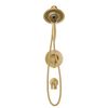 17 Series Shower Only Trim with In2ition&reg; (Recertified)