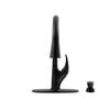 Single Handle Pull-Down Kitchen Faucet with Soap Dispenser and ShieldSpray Technology