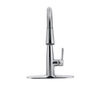 Single Handle Pull-down Kitchen Faucet (Recertified)