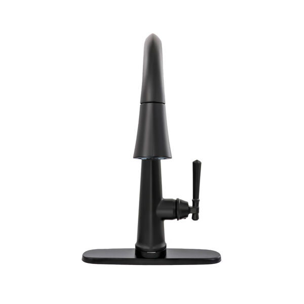 Single Handle Pull-Down Kitchen Faucet with Touch<sub>2</sub>O&reg; Technology