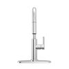 Single Handle Pull-Down Kitchen Faucet (Recertified)