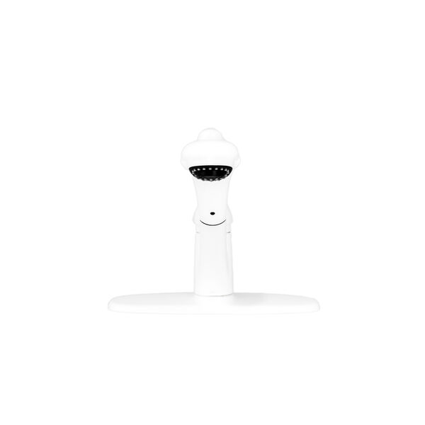 Pull-Out Kitchen Faucet (Recertified)