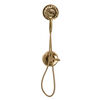 Monitor&reg; 17 Series Shower Trim with In2ition&reg;