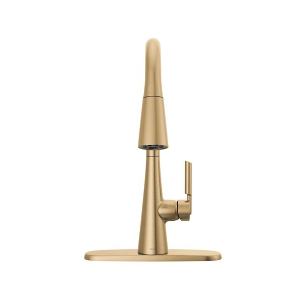 Pull-Down Kitchen Faucet (Recertified)
